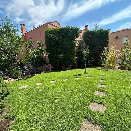 Sunny Garden *