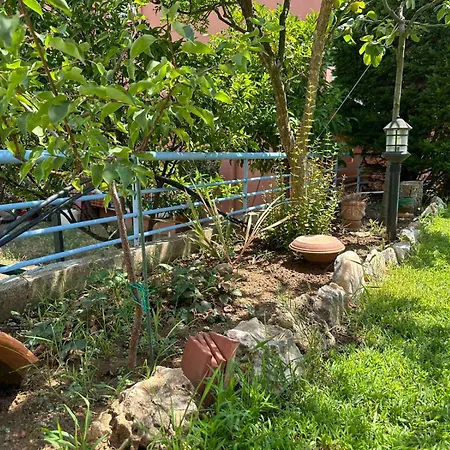 بيت للعطل Sunny Garden Nea Iraklitsa