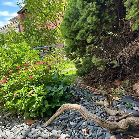 Sunny Garden Nea Iraklitsa